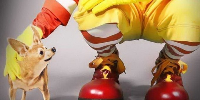 Это многое объясняет: Мэр Бреста объяснил, почему в городе нет «Макдональдса»