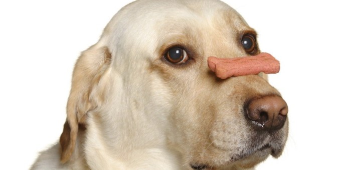 Могут ли десерты быть низкокалорийными? Конечно могут! 6 простых домашних рецептов