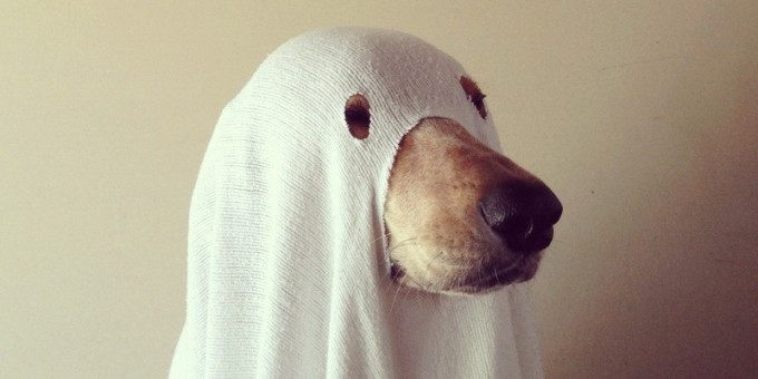 Интересные факты о приближающемся Кельтском празднике – Хэллоуине