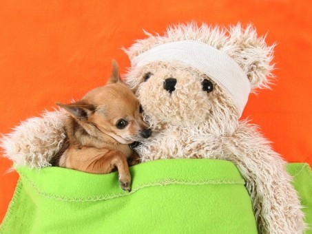 Зима близко. Народное средство от кашля, которым лечили наши бабушки