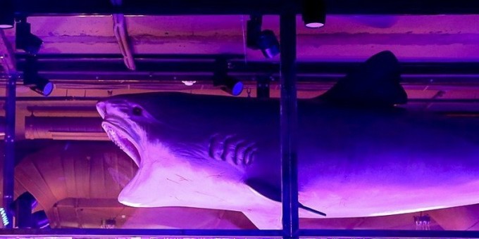 Совершенно новый ресторан «Публика» на проспекте Победителей