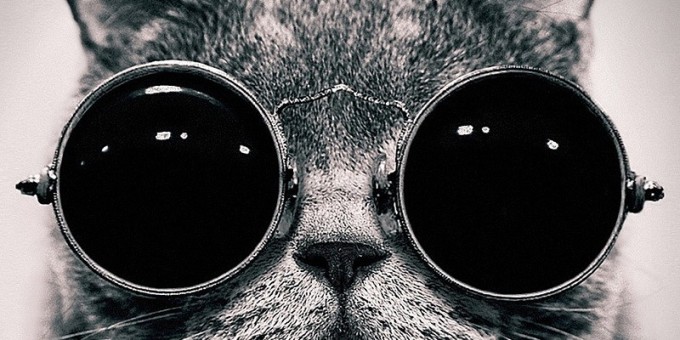 Что творится внутри клуба премиум-класса «Rich Cat» за неделю до открытия