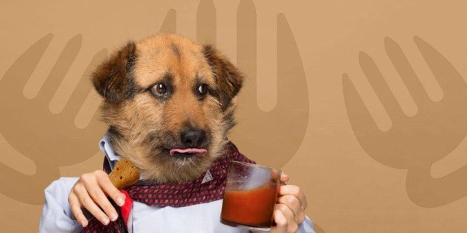 Тестим сохраняющий бюджет студента Гастрофест, где за сет «Кофе плюс десерт» просят всего 7 рублей