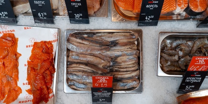 Для кого под домом Чижа открыли рыбный магазин «Ред Фиш»?