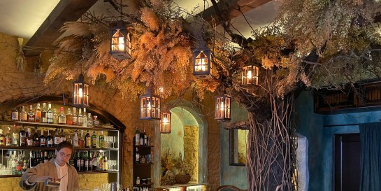 Что можно испить за дверями нового тематического друид-бара «Легендар»
