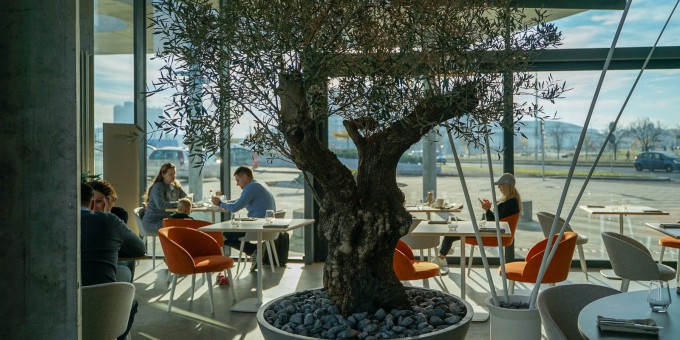 Новое стеклянное кафе про вино и завтраки с видом на Дрозды. Проник в «Контраст»