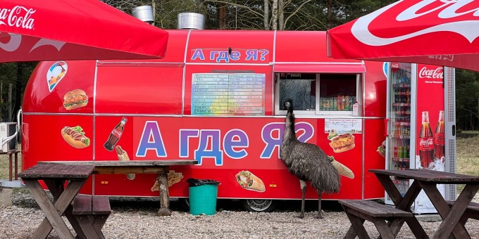 Пожалуй, самый крутой зооландшафтный парк в Беларуси! Прошлись по территории комплекса «Диприз»