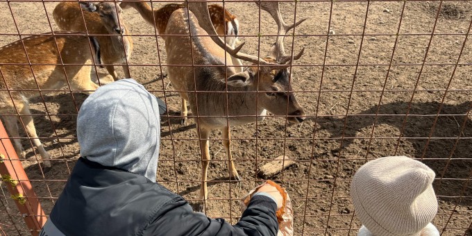 А вы уже были в экопарке-зоопарке с кафе и рестораном «Станьково»? Если нет, то время пришло!