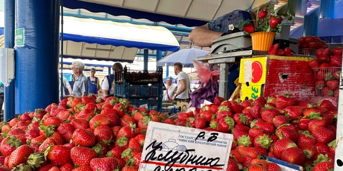 Почём продают лесники чернику, землянику, малину и шелковицу на «Комаровском рынке»