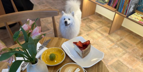 В районе Осмоловки на первом этаже бабушкиной квартиры открыли охрененно уютный «Маркс» в формате библифейня