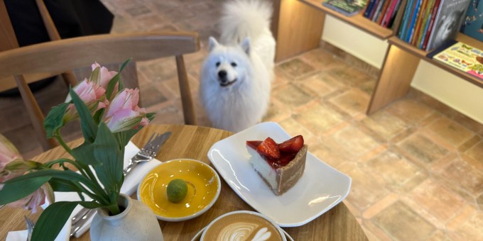 В районе Осмоловки на первом этаже бабушкиной квартиры открыли охрененно уютный «Маркс» в формате библифейня