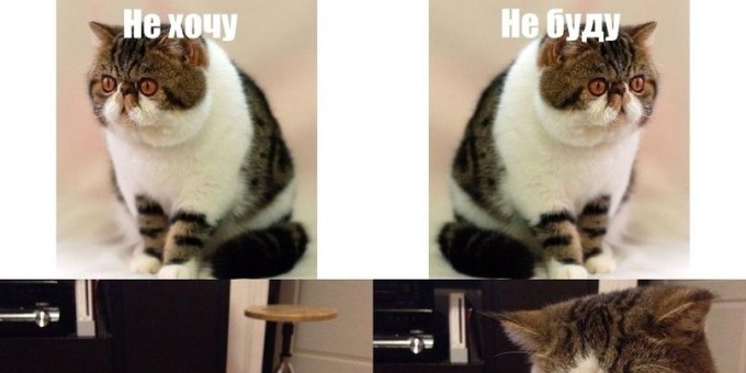 Ешь сколько хочешь суши за 95 рублей с человека в скай-баре «Бар Дот» 19 сентября. Проверим акцию обязательно!