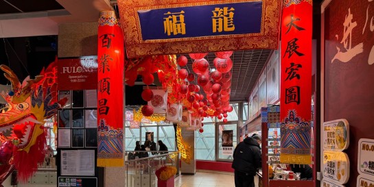 Ведро лапши в бульоне со шкварками за 15р в новой столовой но ресторан «Фулонг», где можно погладить дракона