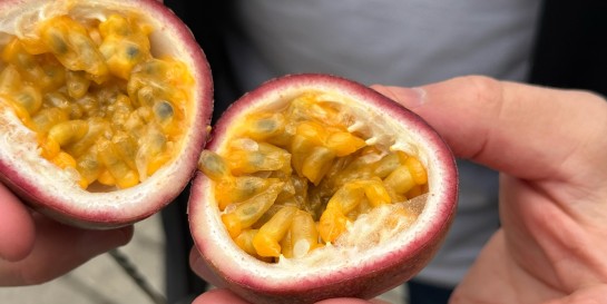 Жить в Беларуси - это осенью есть ложкой вкуснейшую маракуйю по 2,99 рубля за пачку, купленную в «Санте»