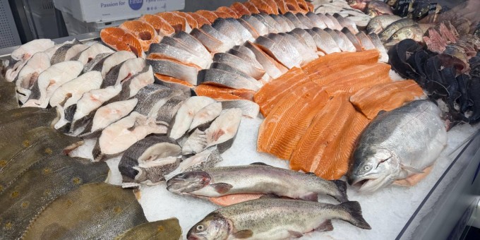 Где купить килограмм лосося на уху за 7 рублей. Показываю цены обновлённого самого рыбного магазина «Санта Фиш»