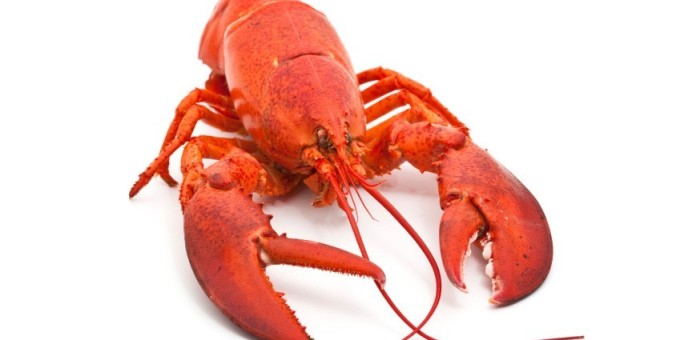 Как приготовить свежих раков?