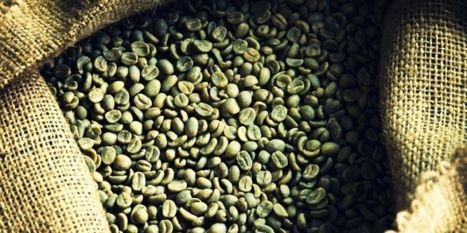 Почему «модное» зеленое кофе вредит здоровью