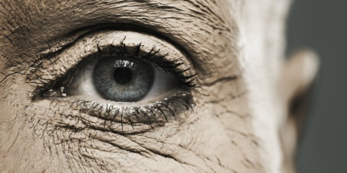 Какие продукты полезны для глаз