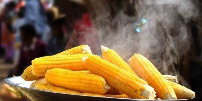 Как варить кукурузы? Что надо знать чтобы правильно её сварить