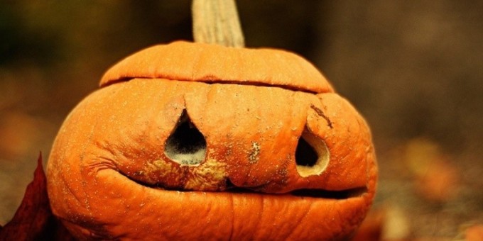 Тыква. Что мы должны знать о ней