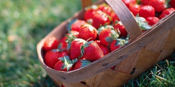 Клубника. Как хранить? Как использовать клубнику?