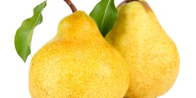 Груши - в чем их польза для здоровья человека?